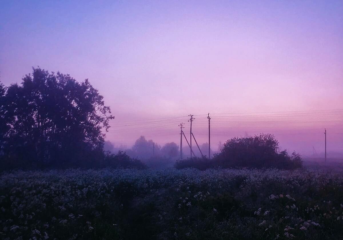 赛事直播-特拉奥雷17+6卡特20+8 篮网主场大胜国王终结10连败